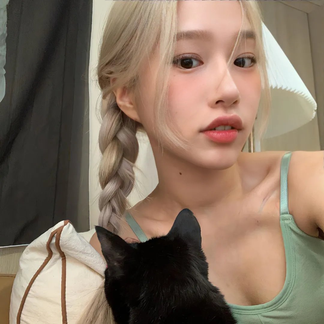 美丽的家